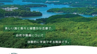 Thumbnail of post image 153