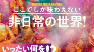 Thumbnail of post image 122