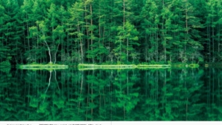 Thumbnail of post image 192
