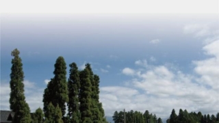 Thumbnail of post image 149