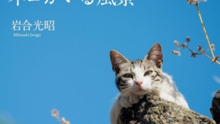 Thumbnail of post image 142