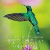 Thumbnail of new posts 122
