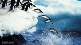 Thumbnail of post image 024