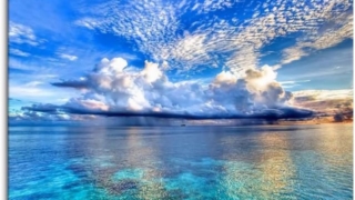 Thumbnail of post image 148