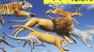 Thumbnail of post image 026
