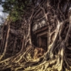 Thumbnail of new posts 037
