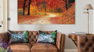Thumbnail of post image 145