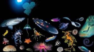 Thumbnail of post image 162