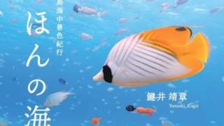 Thumbnail of post image 073