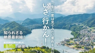 Thumbnail of post image 026