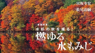 Thumbnail of post image 035