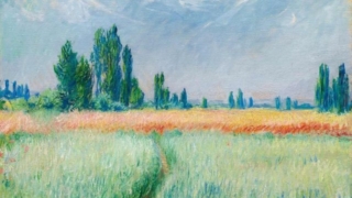 Thumbnail of post image 080