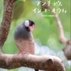 Thumbnail of new posts 169