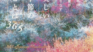 Thumbnail of post image 038