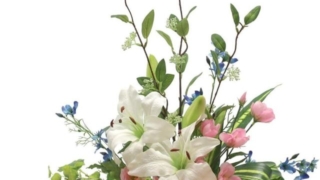 Thumbnail of post image 060