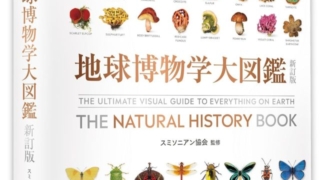 Thumbnail of post image 176