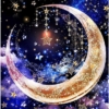 Thumbnail of new posts 008