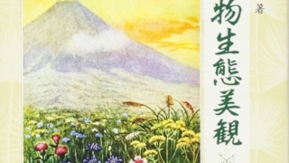 Thumbnail of post image 192