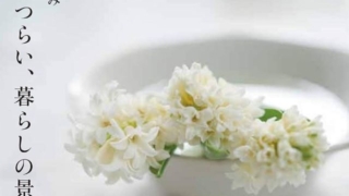 Thumbnail of post image 013