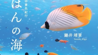 Thumbnail of post image 005