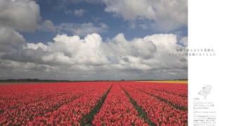 Thumbnail of post image 065