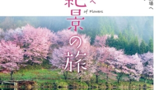 Thumbnail of post image 087