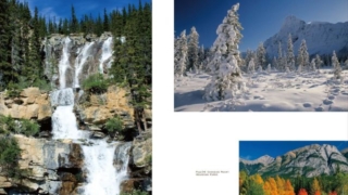 Thumbnail of post image 084