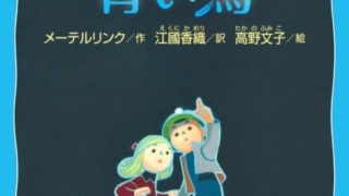 Thumbnail of post image 178