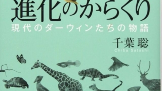 Thumbnail of post image 034