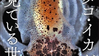 Thumbnail of post image 193