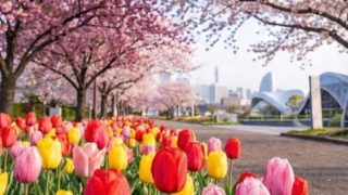 Thumbnail of post image 049