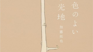 Thumbnail of post image 069