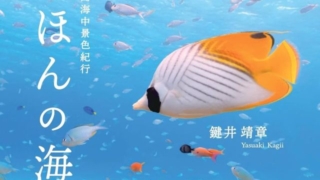 Thumbnail of post image 162