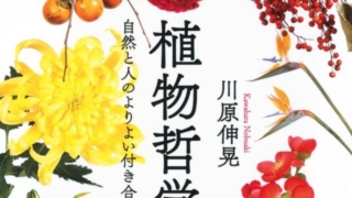 Thumbnail of post image 044