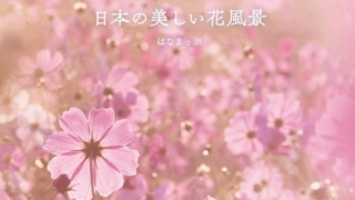 Thumbnail of post image 171