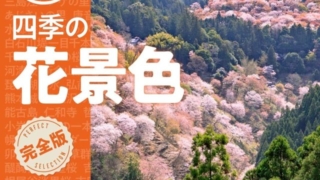 Thumbnail of post image 197