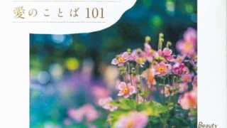 Thumbnail of post image 149