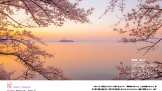 Thumbnail of post image 136