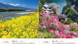 Thumbnail of post image 101