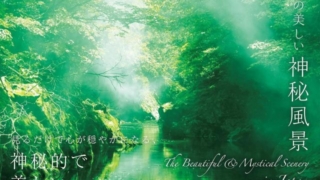 Thumbnail of post image 120