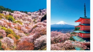 Thumbnail of post image 112