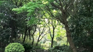 Thumbnail of post image 066