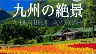 Thumbnail of post image 020