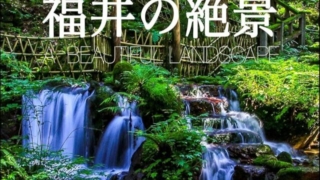 Thumbnail of post image 196