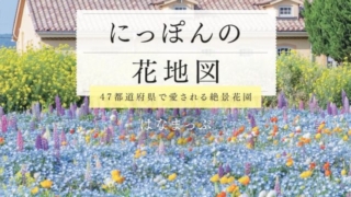 Thumbnail of post image 061