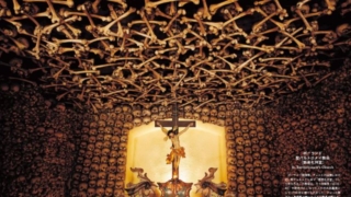 Thumbnail of post image 019