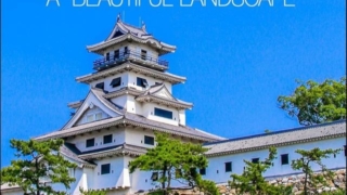 Thumbnail of post image 121