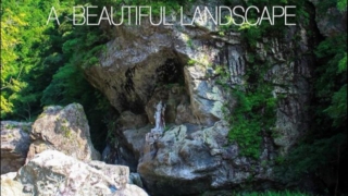 Thumbnail of post image 019