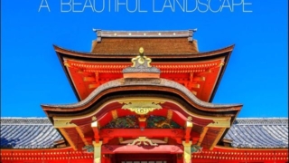 Thumbnail of post image 153