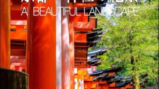 Thumbnail of post image 196